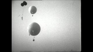 Link to Video | Paul Karl Lieberenz