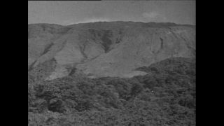 Link to Video | Paul Karl Lieberenz, Kamerun