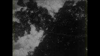 Link to Video | Paul Karl Lieberenz