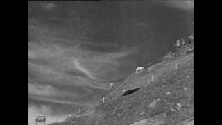 Link to Video | Paul Karl Lieberenz