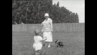 Link zum Video | Paul Lieberenz