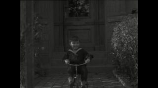 Link to Video | Paul Karl Lieberenz