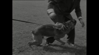 Link to Video | Paul Karl Lieberenz