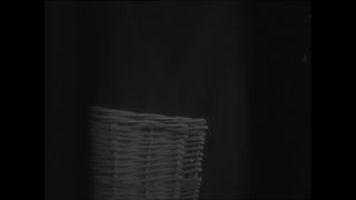 Link to Video | Paul Karl Lieberenz