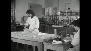 Link to Video | Paul Karl Lieberenz