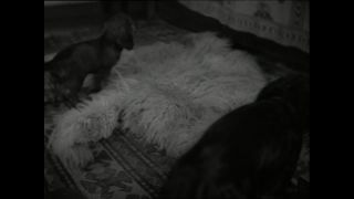 Link to Video | Paul Karl Lieberenz