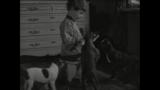 Link to Video | Paul Karl Lieberenz