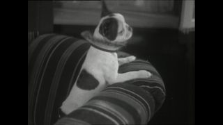 Link to Video | Paul Karl Lieberenz