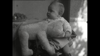 Link to Video | Paul Karl Lieberenz