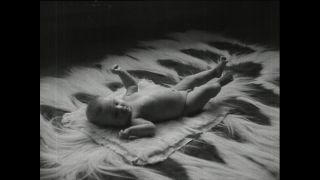 Link to Video | Paul Karl Lieberenz