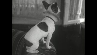 Link to Video | Paul Karl Lieberenz