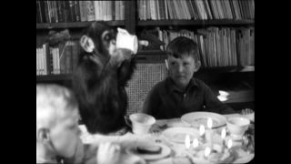 Link to Video | Paul Karl Lieberenz, YouTube, YouTube