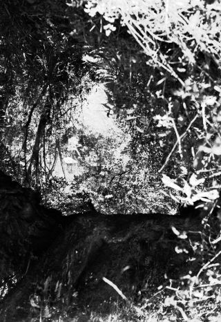 Link zum Foto | Kamerun, Paul Lieberenz, Afrika, Schwarzweißfotografie, Kamerun, Kolonisation, Schwarzweiß