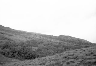 Link zum Foto | Kamerun, Paul Lieberenz, Afrika, Schwarzweißfotografie, Kamerun, Kolonisation, Schwarzweiß