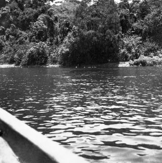 Link zum Foto | Kamerun, Paul Lieberenz, Afrika, Kamerun, Kolonisation