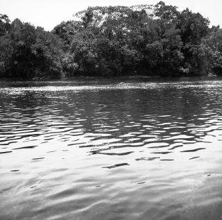 Link zum Foto | Kamerun, Paul Lieberenz, Afrika, Kamerun, Kolonisation