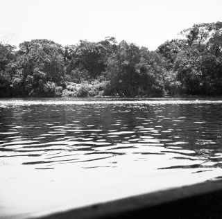 Link zum Foto | Kamerun, Paul Lieberenz, Afrika, Kamerun, Kolonisation