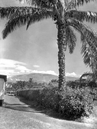 Link zum Foto | Kamerun, Paul Lieberenz, Afrika, Schwarzweißfotografie, Kamerun, Kolonisation, Schwarzweiß