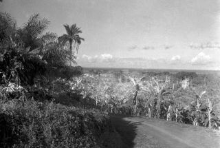 Link zum Foto | Kamerun, Paul Lieberenz, Afrika, Schwarzweißfotografie, Kamerun, Kolonisation, Schwarzweiß