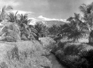 Link zum Foto | Kamerun, Paul Lieberenz, Afrika, Schwarzweißfotografie, Kamerun, Kolonisation, Schwarzweiß