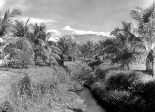 Link zum Foto | Kamerun, Paul Lieberenz, Afrika, Schwarzweißfotografie, Kamerun, Kolonisation, Schwarzweiß