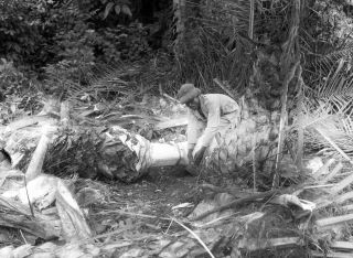 Link zum Foto | Kamerun, Paul Lieberenz, Afrika, Schwarzweißfotografie, Kamerun, Kolonisation, Schwarzweiß