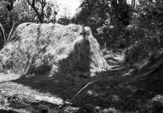 Link zum Foto | Kamerun, Paul Lieberenz, Afrika, Schwarzweißfotografie, Kamerun, Kolonisation, Schwarzweiß