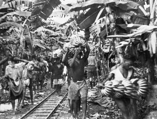 Link zum Foto | Kamerun, Paul Lieberenz, Afrika, Kamerun, Kolonisation