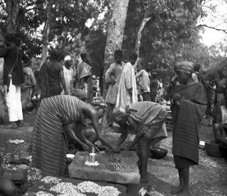 Link zum Foto | Kamerun, Paul Lieberenz, Afrika, Kamerun, Kolonisation