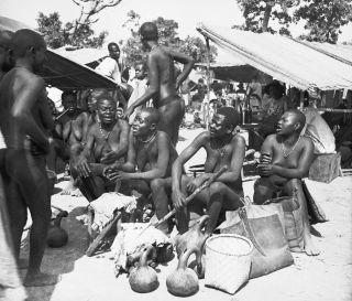 Link zum Foto | Kamerun, Paul Lieberenz, Afrika, Kamerun, Kolonisation