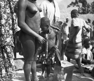 Link zum Foto | Kamerun, Paul Lieberenz, Afrika, Kamerun, Kolonisation