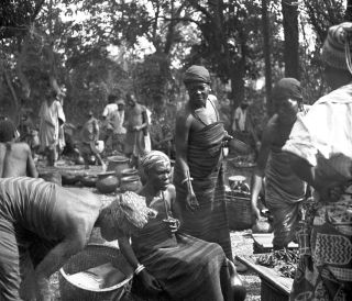 Link zum Foto | Kamerun, Paul Lieberenz, Afrika, Kamerun, Kolonisation