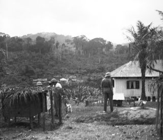 Link zum Foto | Kamerun, Paul Lieberenz, Afrika, Kamerun, Kolonisation