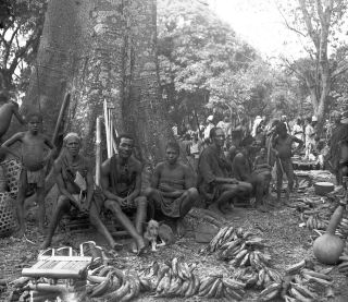 Link zum Foto | Kamerun, Paul Lieberenz, Afrika, Kamerun, Kolonisation