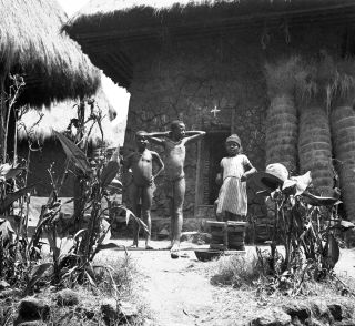 Link zum Foto | Kamerun, Paul Lieberenz, Afrika, Kamerun, Kolonisation