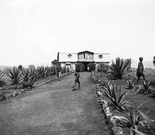 Link zum Foto | Kamerun, Paul Lieberenz, Afrika, Kamerun, Kolonisation