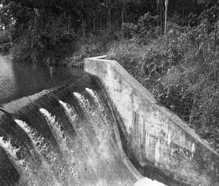 Link zum Foto | Kamerun, Paul Lieberenz, Afrika, Kamerun, Kolonisation