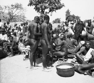 Link zum Foto | Kamerun, Paul Lieberenz, Afrika, Kamerun, Kolonisation
