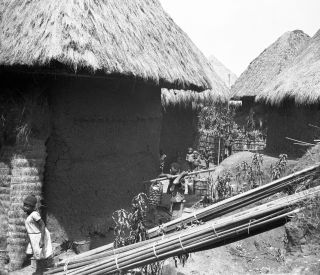 Link zum Foto | Kamerun, Paul Lieberenz, Afrika, Kamerun, Kolonisation