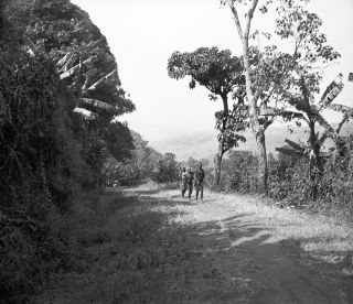 Link zum Foto | Kamerun, Paul Lieberenz, Afrika, Kamerun, Kolonisation