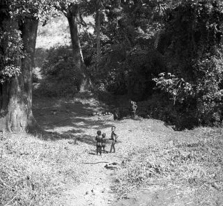 Link zum Foto | Kamerun, Paul Lieberenz, Afrika, Kamerun, Kolonisation