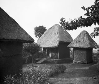 Link zum Foto | Kamerun, Paul Lieberenz, Afrika, Kamerun, Kolonisation