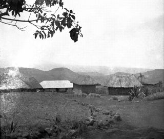 Link zum Foto | Kamerun, Paul Lieberenz, Afrika, Kamerun, Kolonisation