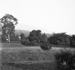 Link zum Foto | Kamerun, Paul Lieberenz, Afrika, Kamerun, Kolonisation