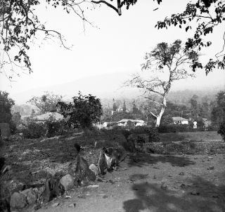 Link zum Foto | Kamerun, Paul Lieberenz, Afrika, Kamerun, Kolonisation