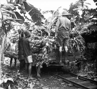 Link zum Foto | Kamerun, Paul Lieberenz, Afrika, Kamerun, Kolonisation