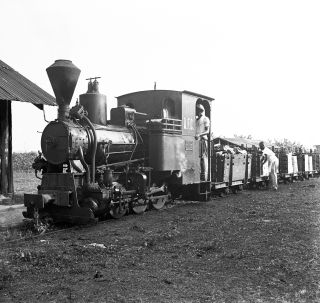 Link zum Foto | Kamerun, Paul Lieberenz, Afrika, Kamerun, Kolonisation