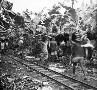 Link zum Foto | Kamerun, Paul Lieberenz, Afrika, Kamerun, Kolonisation