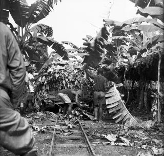 Link zum Foto | Kamerun, Paul Lieberenz, Afrika, Kamerun, Kolonisation