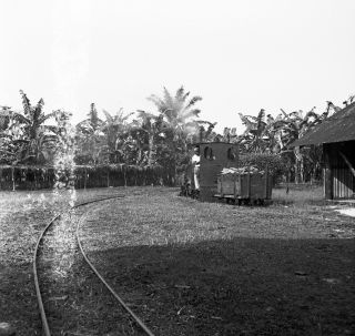 Link zum Foto | Kamerun, Paul Lieberenz, Afrika, Kamerun, Kolonisation